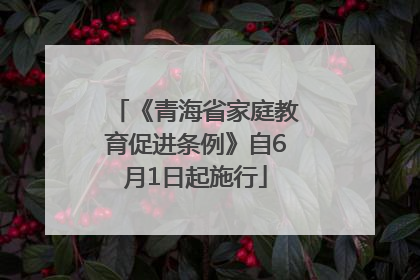 《青海省家庭教育促进条例》自6月1日起施行