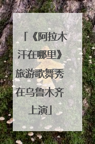 《阿拉木汗在哪里》旅游歌舞秀在乌鲁木齐上演