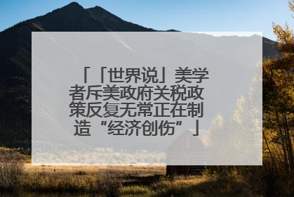 「世界说」美学者斥美政府关税政策反复无常正在制造“经济创伤”