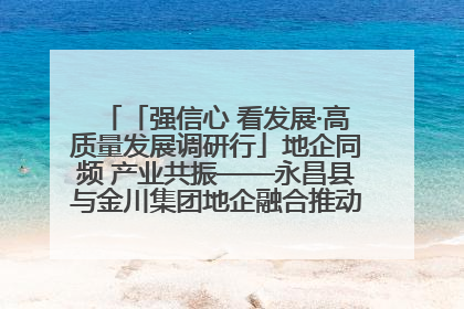「强信心 看发展·高质量发展调研行」地企同频 产业共振——永昌县与金川集团地企融合推动重大项目建设