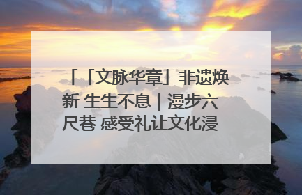 「文脉华章」非遗焕新 生生不息｜漫步六尺巷 感受礼让文化浸润的“巷”往生活