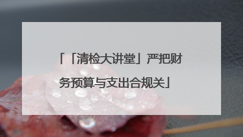 「清检大讲堂」严把财务预算与支出合规关