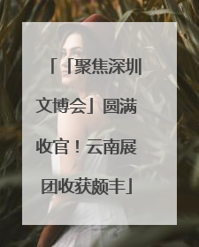 「聚焦深圳文博会」圆满收官！云南展团收获颇丰