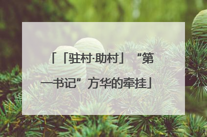 「驻村·助村」“第一书记”方华的牵挂
