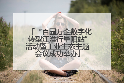“百园万企数字化转型江淮行阜阳站”活动暨工业生态主题会议成功举办