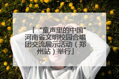 “童声里的中国”河南省文明校园合唱团交流展示活动(郑州站)举行