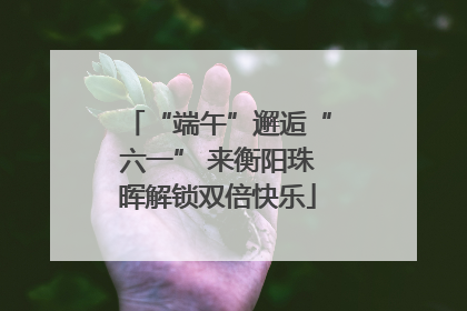 “端午”邂逅“六一” 来衡阳珠晖解锁双倍快乐