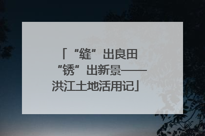“缝”出良田 “锈”出新景——洪江土地活用记