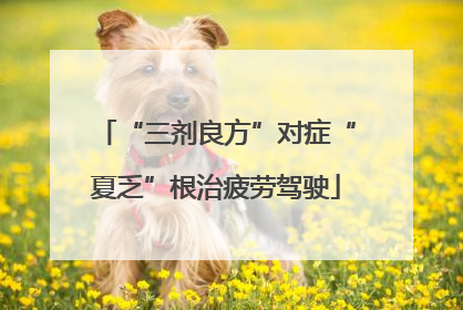 “三剂良方”对症“夏乏”根治疲劳驾驶