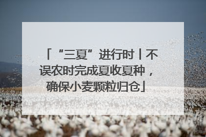 “三夏”进行时丨不误农时完成夏收夏种，确保小麦颗粒归仓