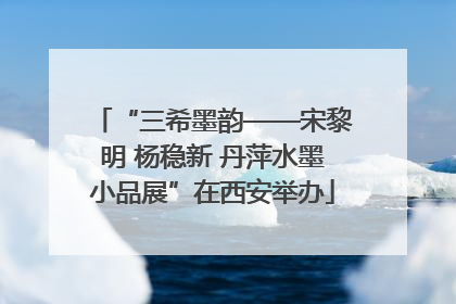 “三希墨韵——宋黎明 杨稳新 丹萍水墨小品展”在西安举办