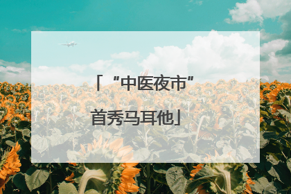 “中医夜市”首秀马耳他