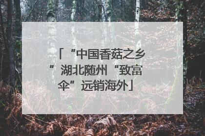 “中国香菇之乡”湖北随州“致富伞”远销海外