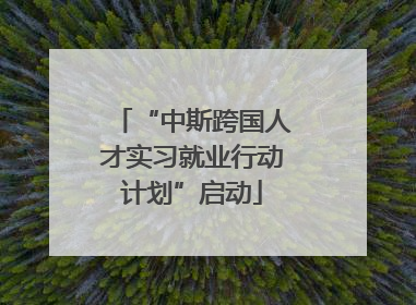 “中斯跨国人才实习就业行动计划”启动