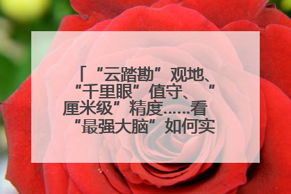 “云踏勘”观地、“千里眼”值守、“厘米级”精度……看“最强大脑”如何实现智慧治理