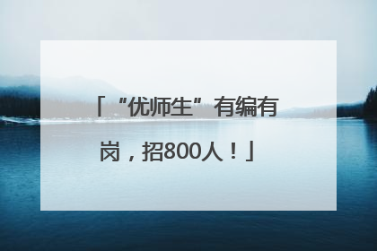 “优师生”有编有岗，招800人！