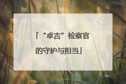 “卓吉”检察官的守护与担当