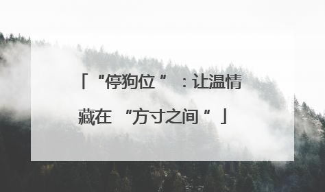 “停狗位 ”:让温情藏在 “方寸之间 ”