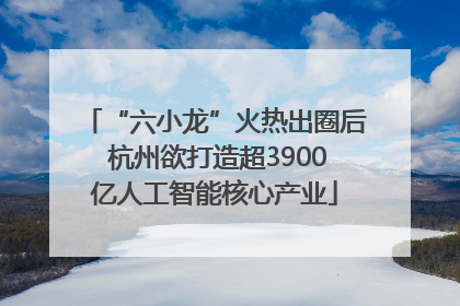 “六小龙”火热出圈后 杭州欲打造超3900亿人工智能核心产业