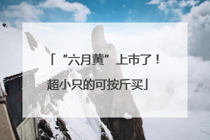 “六月黄”上市了！超小只的可按斤买