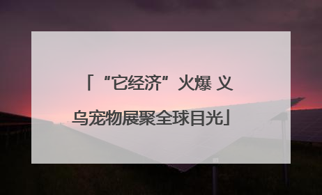 “它经济”火爆 义乌宠物展聚全球目光