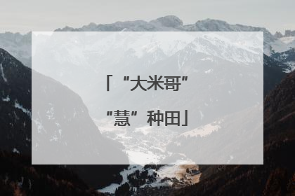 “大米哥”“慧”种田