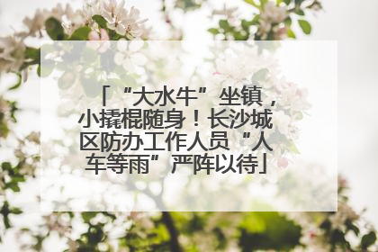 “大水牛”坐镇，小撬棍随身！长沙城区防办工作人员“人车等雨”严阵以待