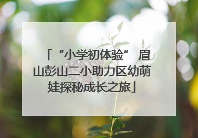 “小学初体验” 眉山彭山二小助力区幼萌娃探秘成长之旅