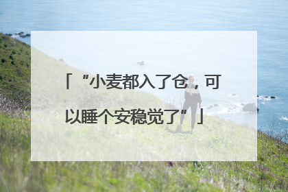 “小麦都入了仓，可以睡个安稳觉了”