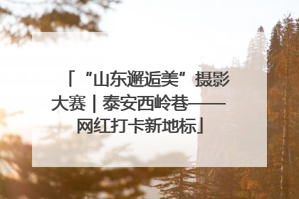 “山东邂逅美”摄影大赛｜泰安西岭巷——网红打卡新地标