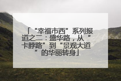 “幸福市西”系列报道之二：盛华路，从“卡脖路”到“景观大道”的华丽转身