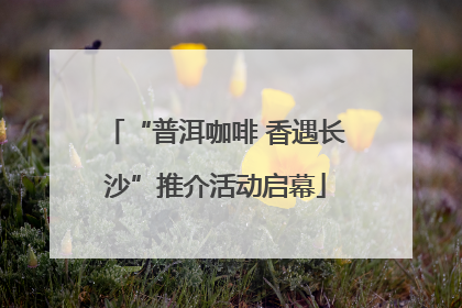 “普洱咖啡 香遇长沙”推介活动启幕
