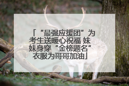 “最强应援团”为考生送暖心祝福 妹妹身穿“金榜题名”衣服为哥哥加油