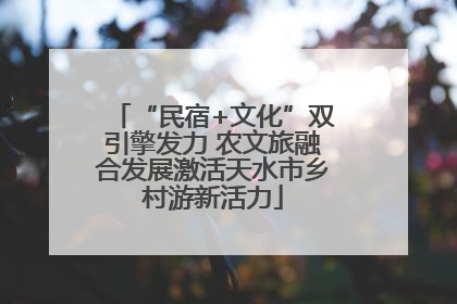 “民宿+文化”双引擎发力 农文旅融合发展激活天水市乡村游新活力