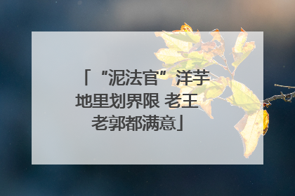 “泥法官”洋芋地里划界限 老王老郭都满意