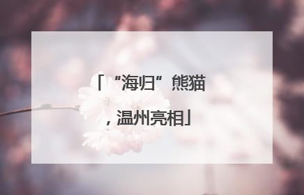 “海归”熊猫，温州亮相