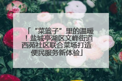 “菜篮子”里的温暖！盐城亭湖区文峰街道西苑社区联合菜场打造便民服务新体验
