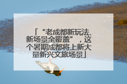 “老成都新玩法、新场景全覆盖”，这个暑期成都将上新大量新兴文旅场景