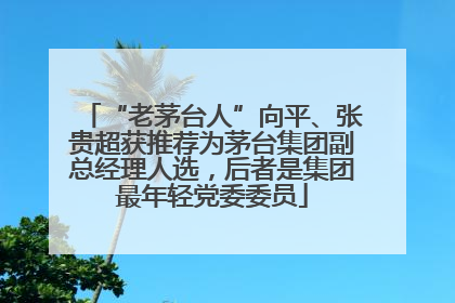 “老茅台人”向平、张贵超获推荐为茅台集团副总经理人选，后者是集团最年轻党委委员
