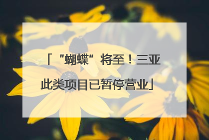 “蝴蝶”将至！三亚此类项目已暂停营业