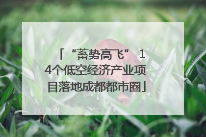 “蓄势高飞” 14个低空经济产业项目落地成都都市圈