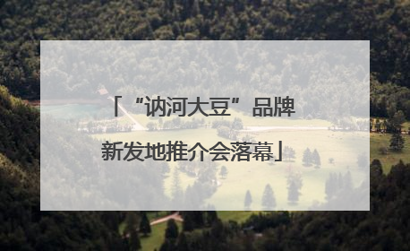 “讷河大豆”品牌新发地推介会落幕