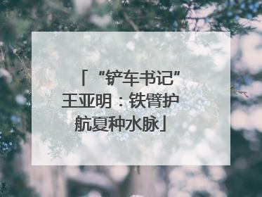 “铲车书记”王亚明：铁臂护航夏种水脉