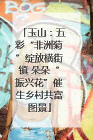 玉山：五彩“非洲菊”绽放横街镇 朵朵“振兴花”催生乡村共富图景