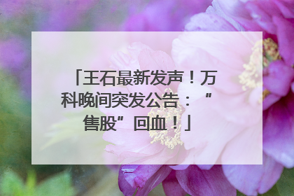 王石最新发声！万科晚间突发公告：“售股”回血！