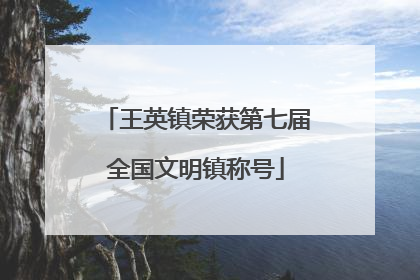 王英镇荣获第七届全国文明镇称号
