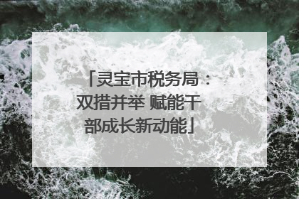 灵宝市税务局：双措并举 赋能干部成长新动能