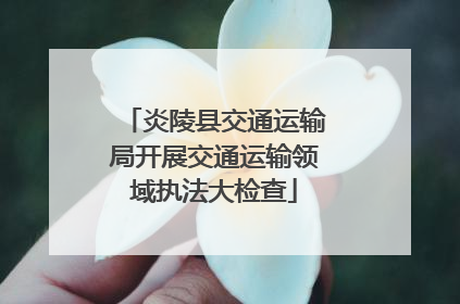 炎陵县交通运输局开展交通运输领域执法大检查