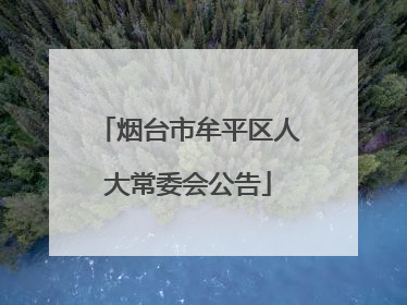 烟台市牟平区人大常委会公告