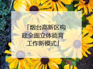 烟台高新区构建全面立体德育工作新模式